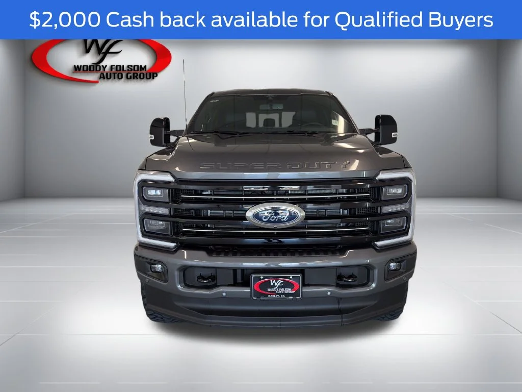 New 2026 Gray Ford Platinum image 2