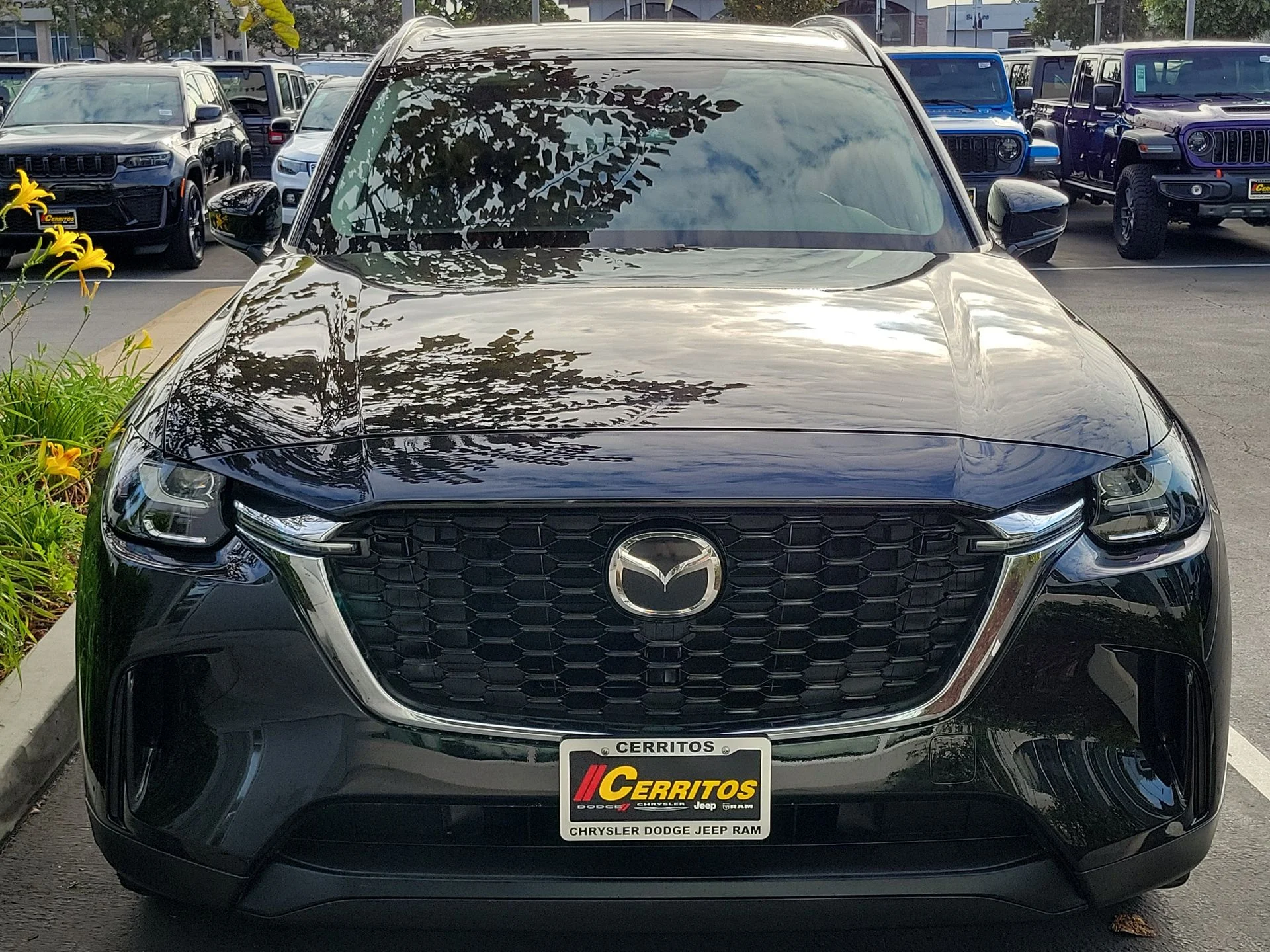 Used 2025 Black Mazda 3.3 Turbo Select image 6