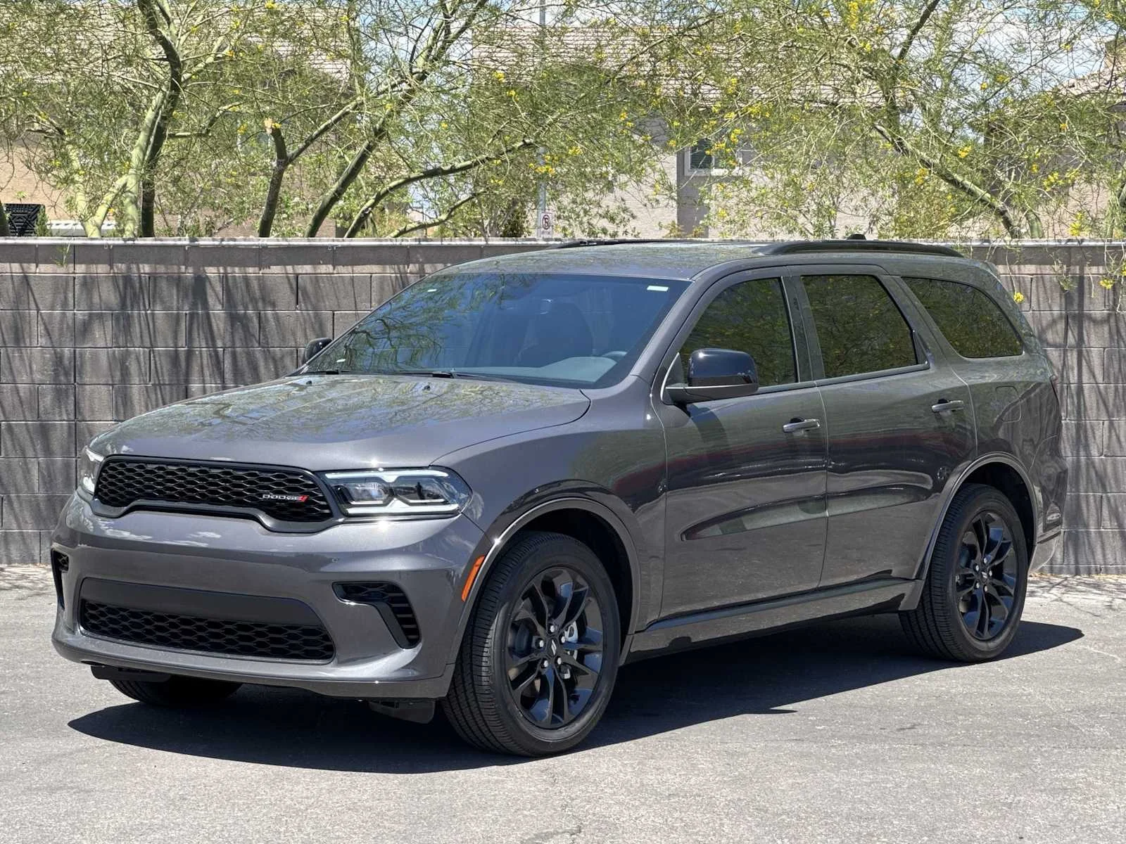 New 2026 Vapor Gray Exterior Paint Dodge GT image 4