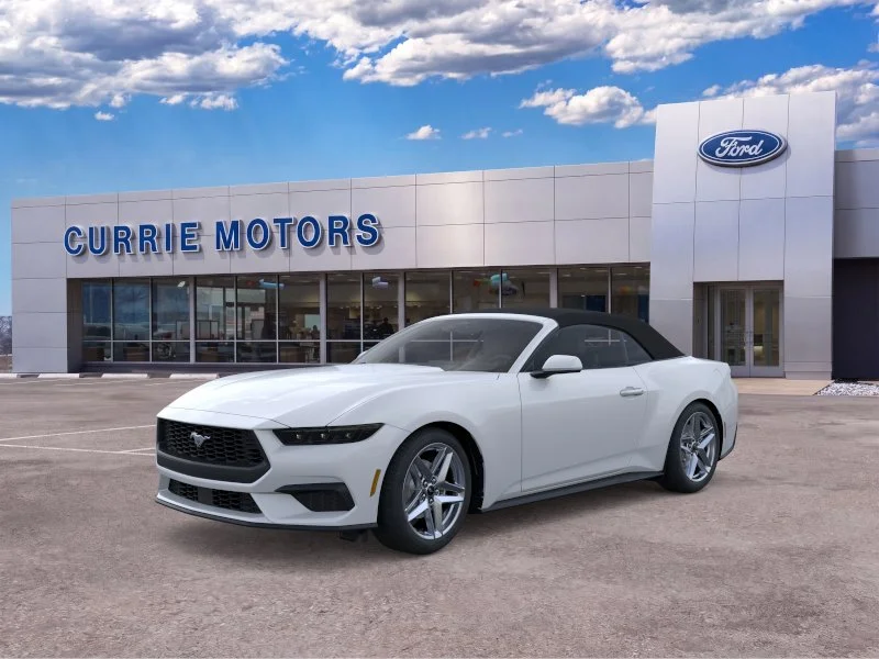 New 2026 Oxford White Ford EcoBoost image 1