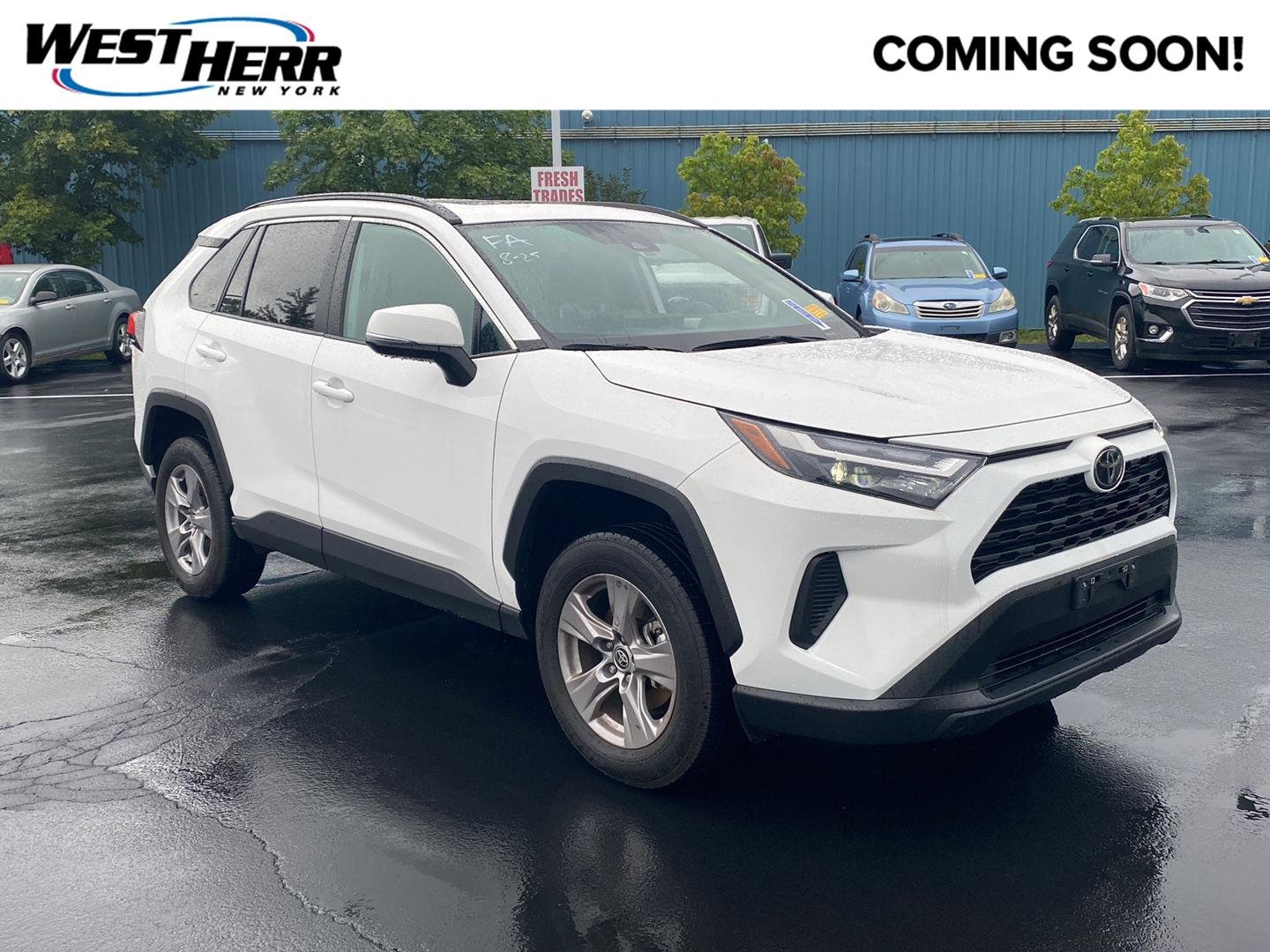 Used 2025 Ice Cap Toyota XLE image 1
