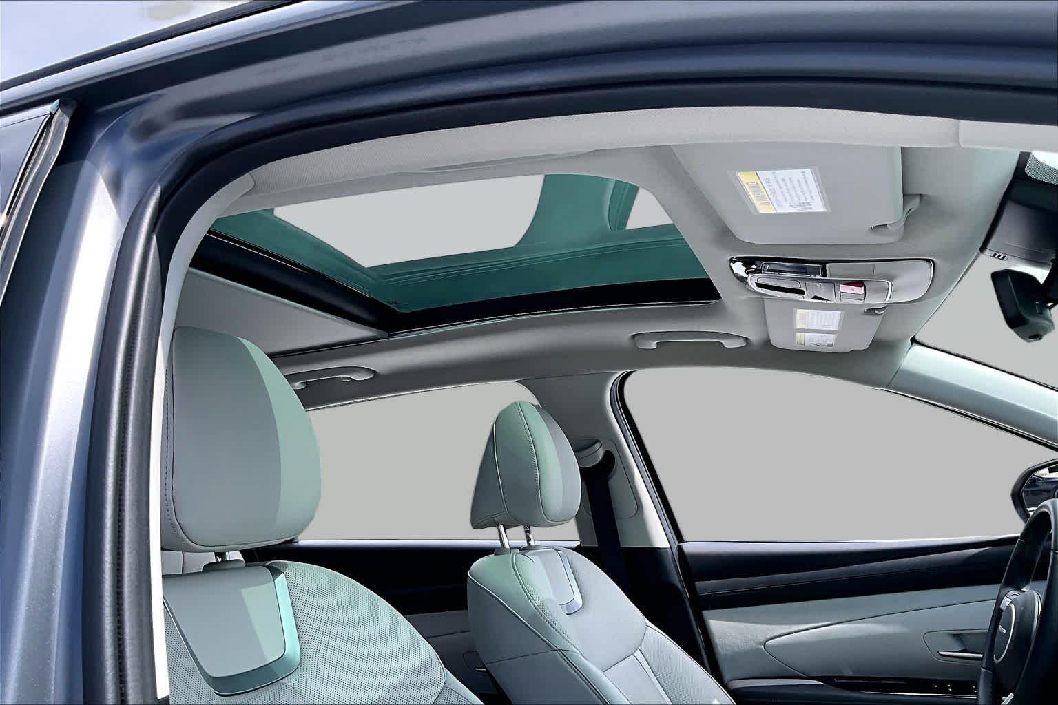 Used 2025 Ecotronic Gray Matte Hyundai Limited image 13