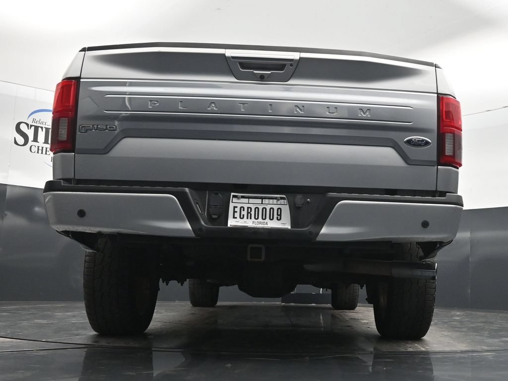 Used 2018 Silver Ford Platinum image 31