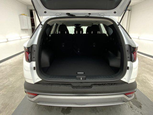 New 2026 Creamy White Pearl Hyundai Blue image 7