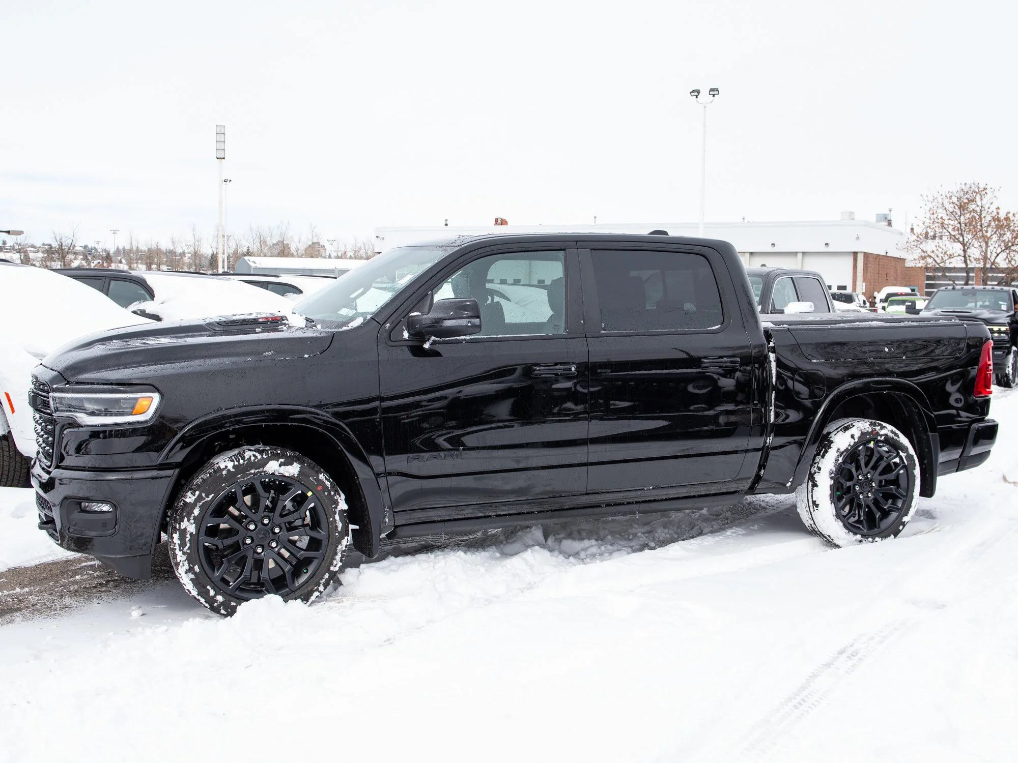 New 2026 Black RAM Limited* image 2
