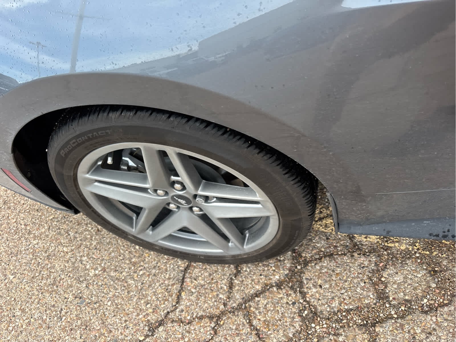 Used 2024 Carbonized Gray Ford EcoBoost Premium image 10