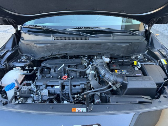 Certified Used 2024 Black Kia SX image 6
