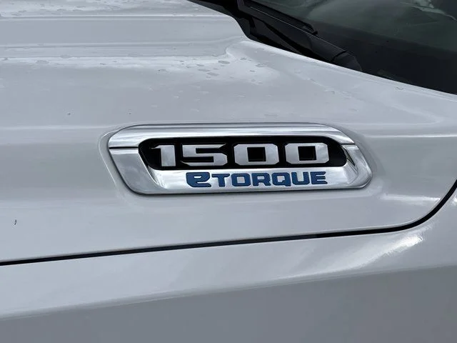 New 2026 White Ram Big Horn/Lone Star image 11