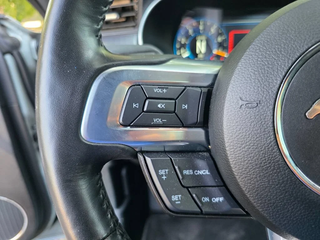 Used 2023 Gray Ford Mach 1 Fastback image 23