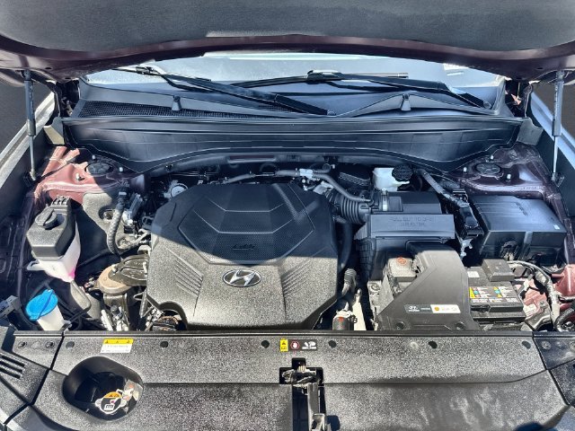 Used 2024 Red Hyundai Calligraphy image 18