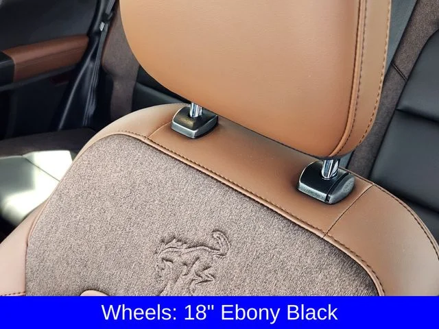 New 2026 Shadow Black Ford Outer Banks® image 15