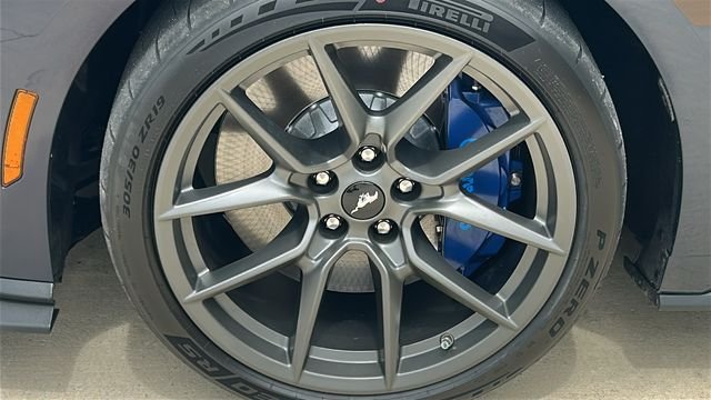 2025 Ford Mustang Dark Horse - Photo 13