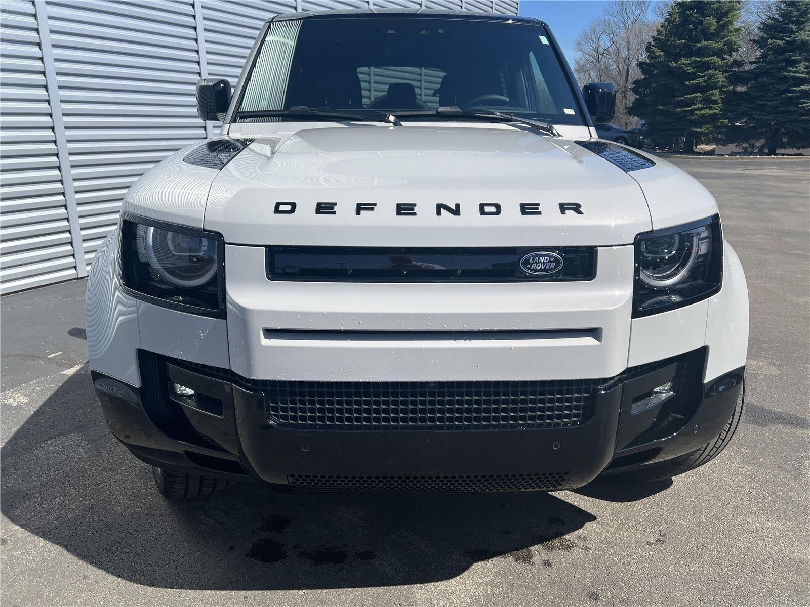New 2026 Borasco Grey Land Rover X-Dynamic SE image 4