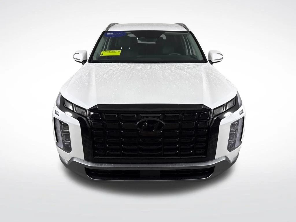 2025 Hyundai Palisade SEL - Photo 11
