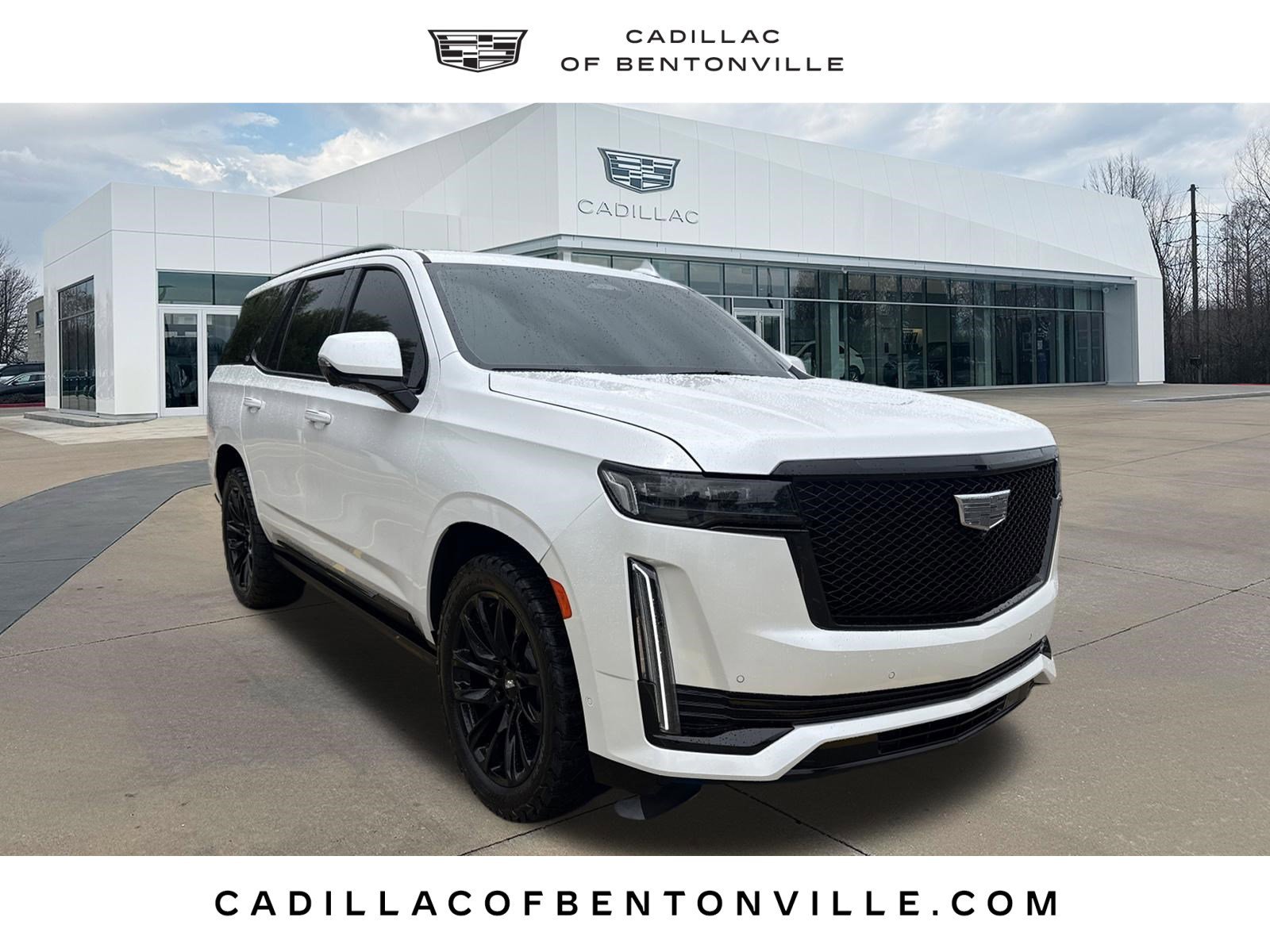 2023 Cadillac Escalade 4WD Sport's photo