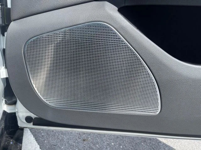 2024 VinFast VF 9 PLUS - Photo 25