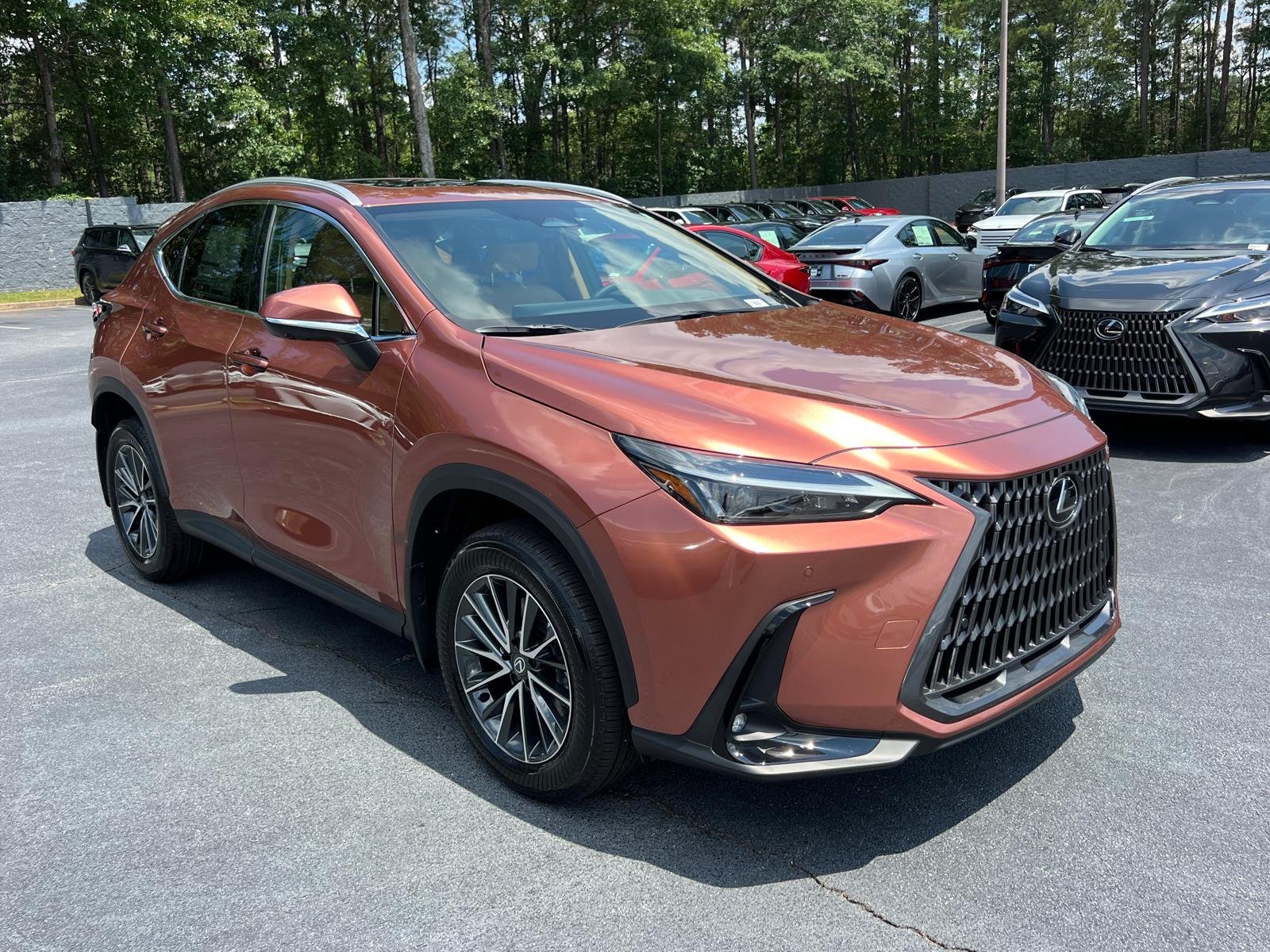 New 2026 Copper Crest Lexus PREMIUM image 3