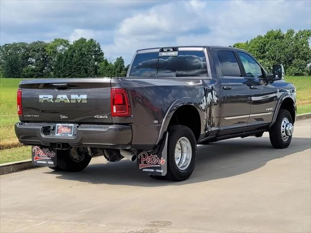 New 2025 Granite Crystal Metallic Clear-Coat Exterior Paint RAM Limited image 15