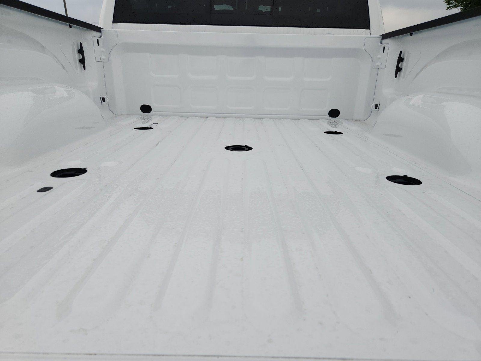 New 2026 Bright White Clear-Coat Exterior Paint RAM Black Express image 25