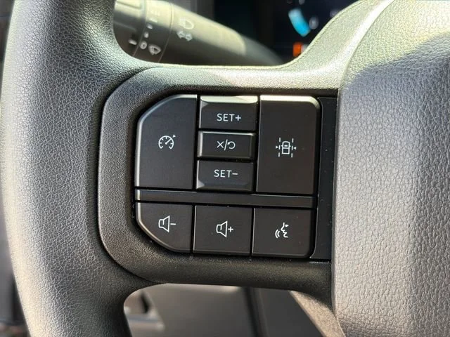 Used 2025 White Ford STX image 24