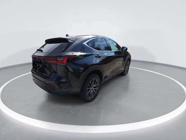 2023 Lexus NX 250 - Photo 7