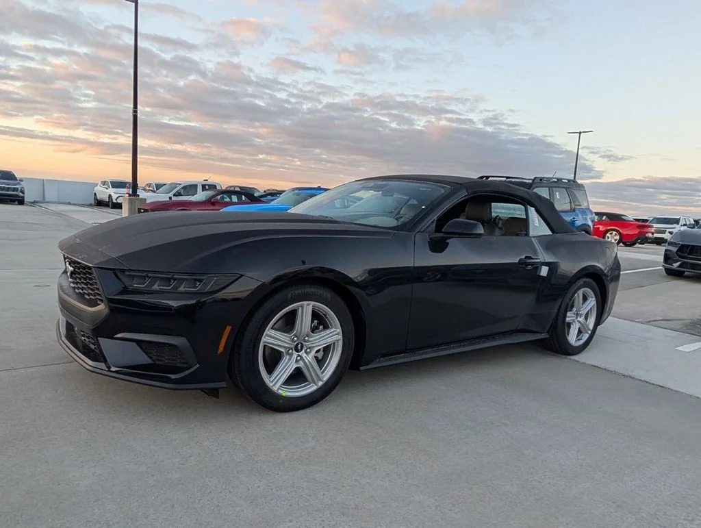 New 2026 Shadow Black Ford EcoBoost® Premium Convertible image 3