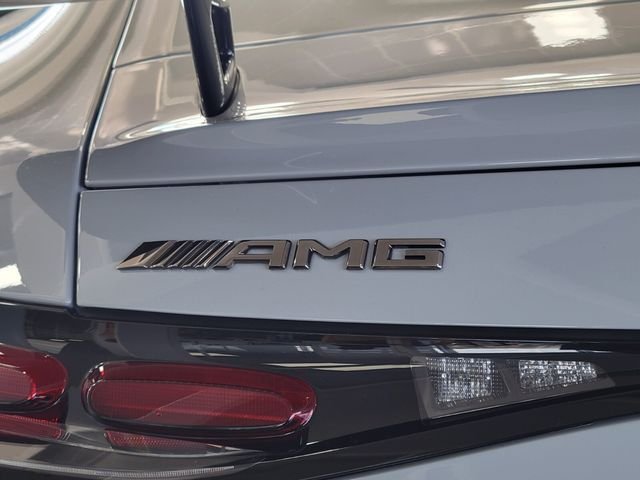 2025 Mercedes-Benz AMG GT Coupe 55 - Photo 6