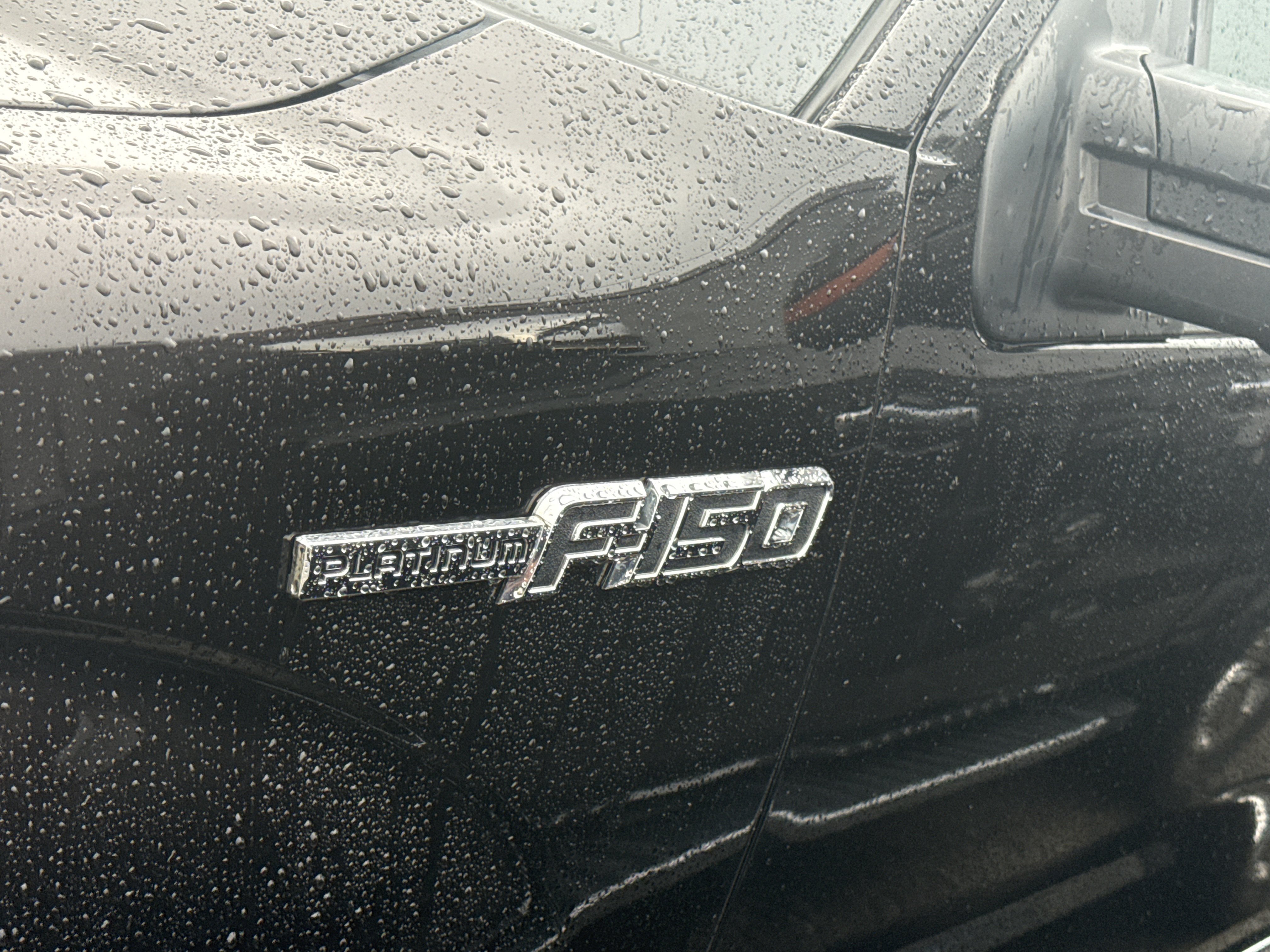 Used 2014 Brown Ford Platinum image 5