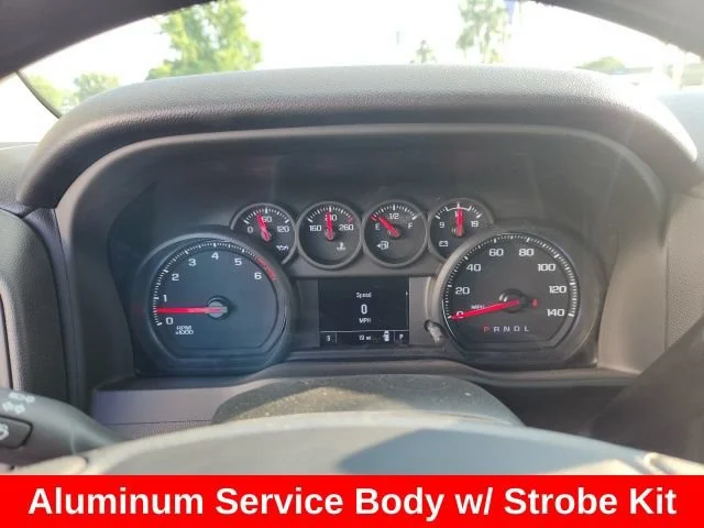 Used 2024 Summit White Chevrolet WT image 22