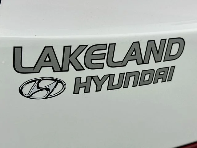 New 2027 White Hyundai Calligraphy image 25