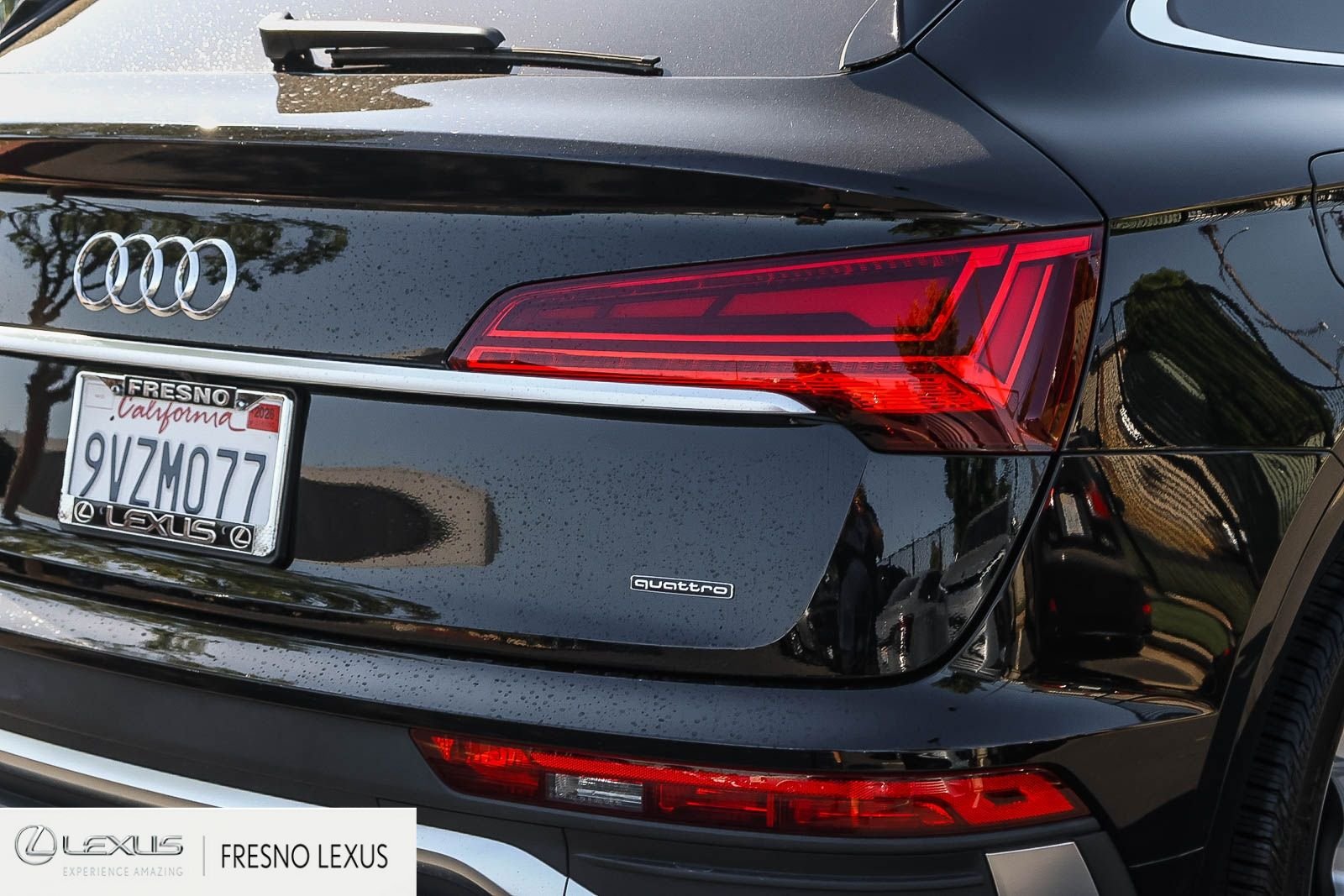 2025 Audi Q5 Sportback Premium Plus - Photo 7
