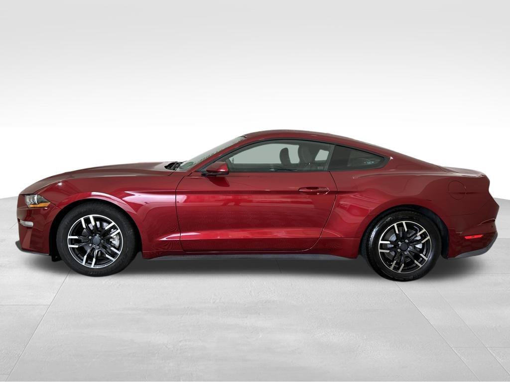 Used 2019 Red Ford EcoBoost image 2