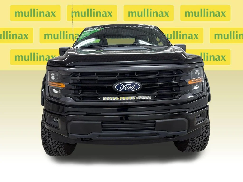 Used 2025 Black Ford STX image 14