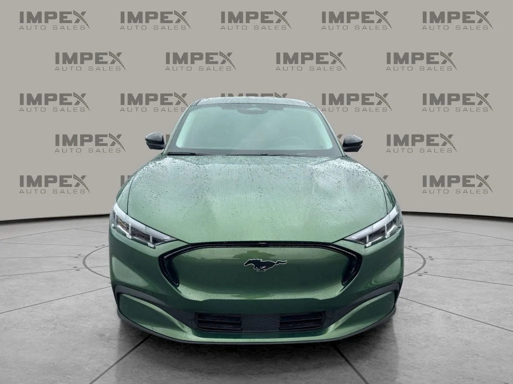 Used 2025 Green Ford Premium image 8