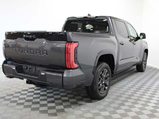New 2026 Magnetic Gray Metallic Toyota  Platinum image 11