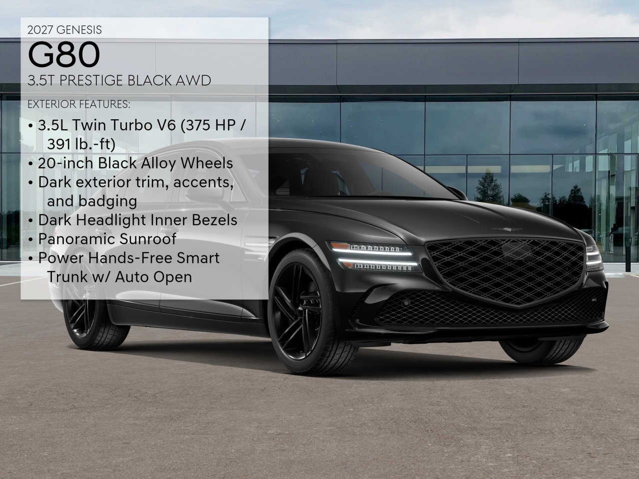 New 2027 Vik Black Genesis  image 3