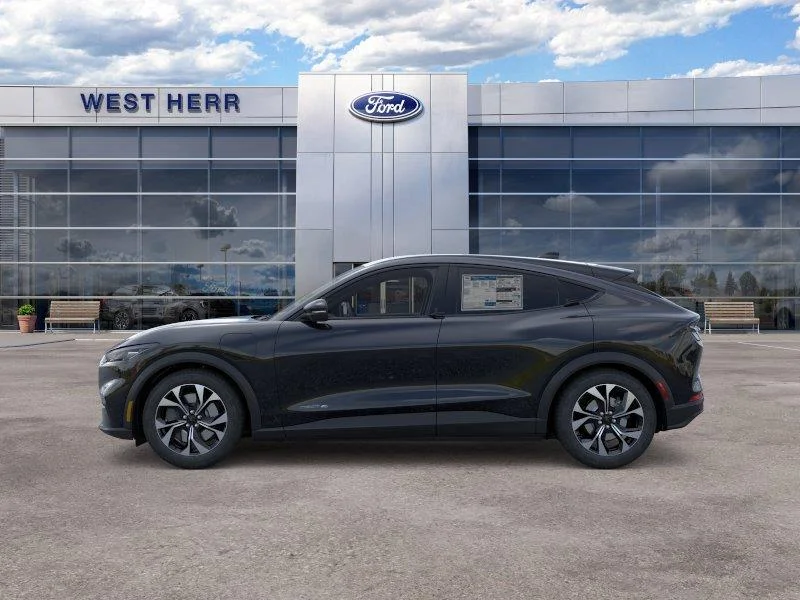 New 2026 Shadow Black Ford Select image 4