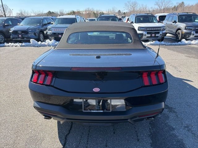New 2026 Shadow Black Ford EcoBoost® Premium Convertible image 6