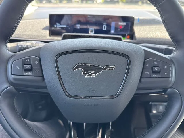 New 2026 Shadow Black Ford Premium image 21