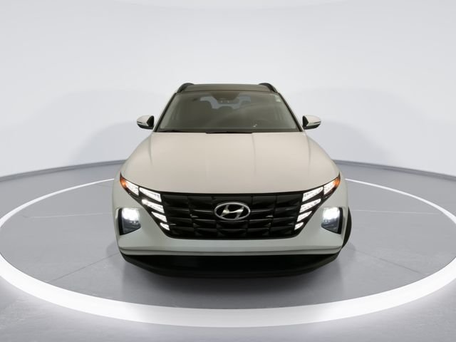 Used 2023 White Hyundai SEL Convenience image 7