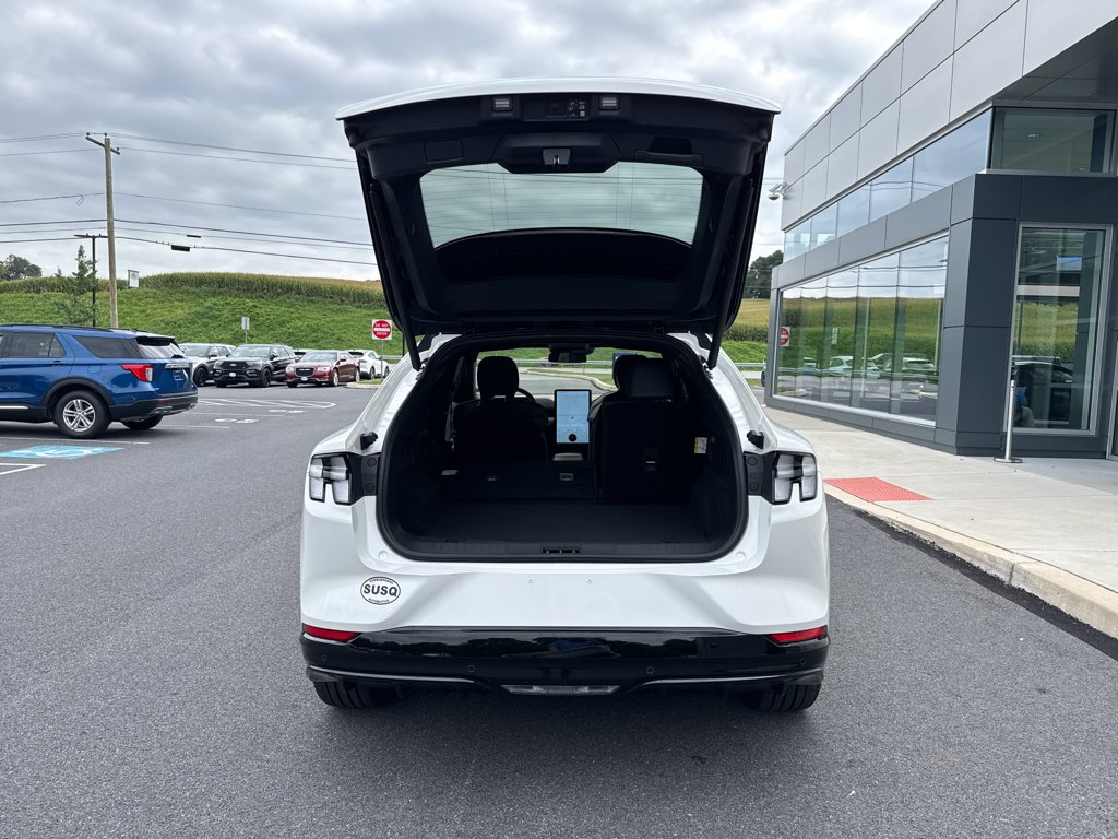 2025 Ford Mustang Mach-E GT - Photo 6