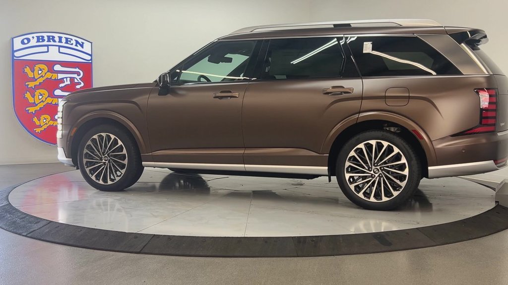 New 2026 Earthy Brass Matte Hyundai Calligraphy image 4
