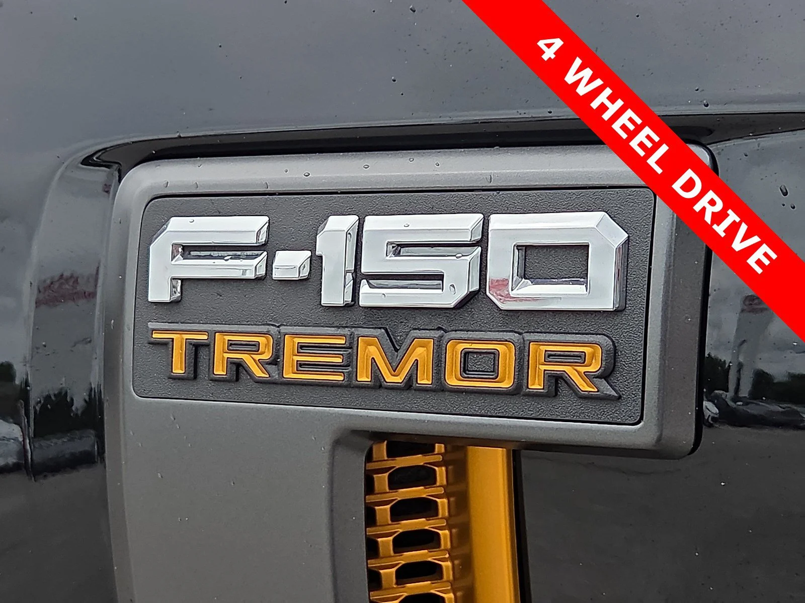 2025 Ford F-150 Tremor - Photo 8