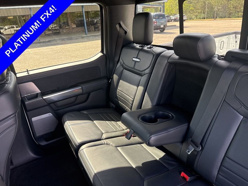 2025 Ford F-150 Platinum - Photo 22