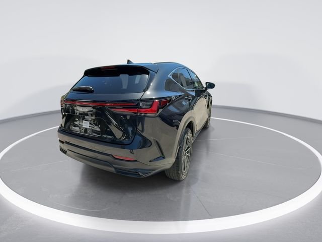 2024 Lexus NX 250 - Photo 7