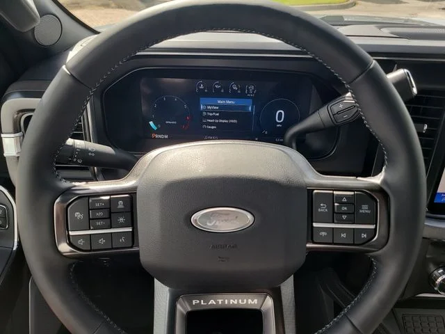 New 2026 Gray Metallic Ford Platinum image 30