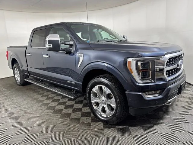 Used 2022 Quartz Metallic Ford Platinum image 1
