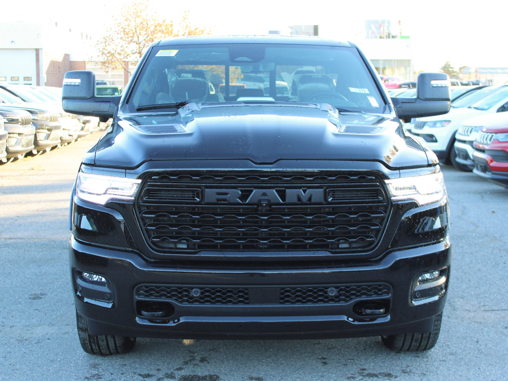 Used 2026 Black RAM Limited* image 8