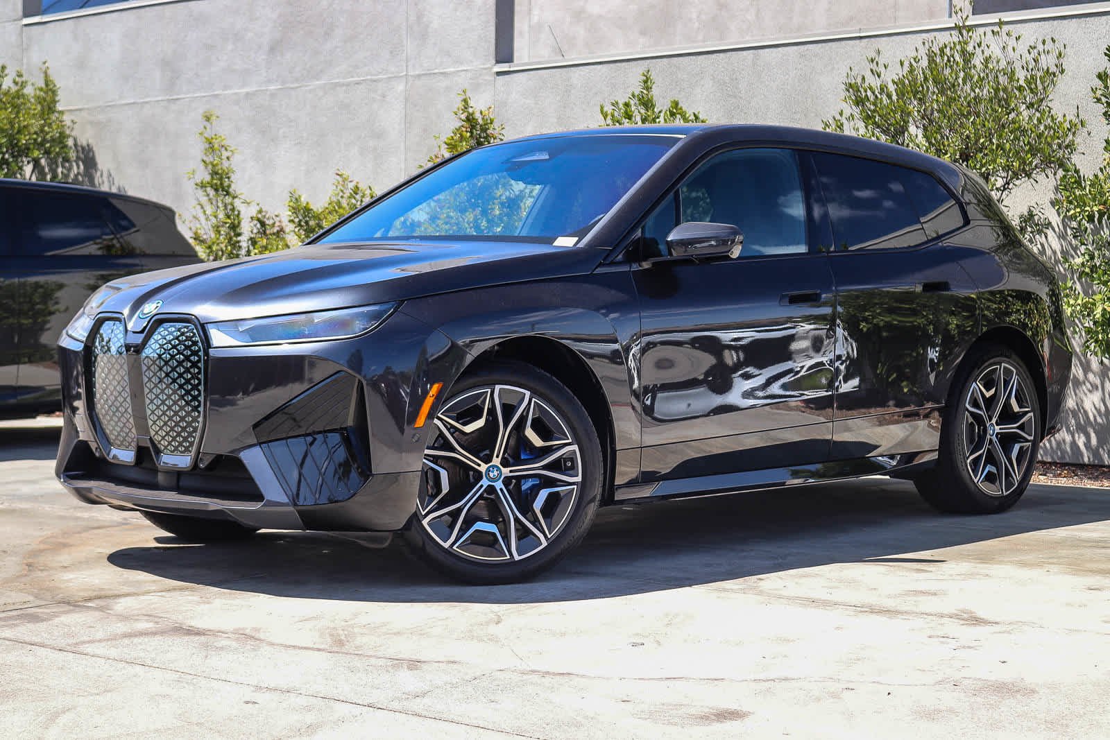 2025 BMW iX