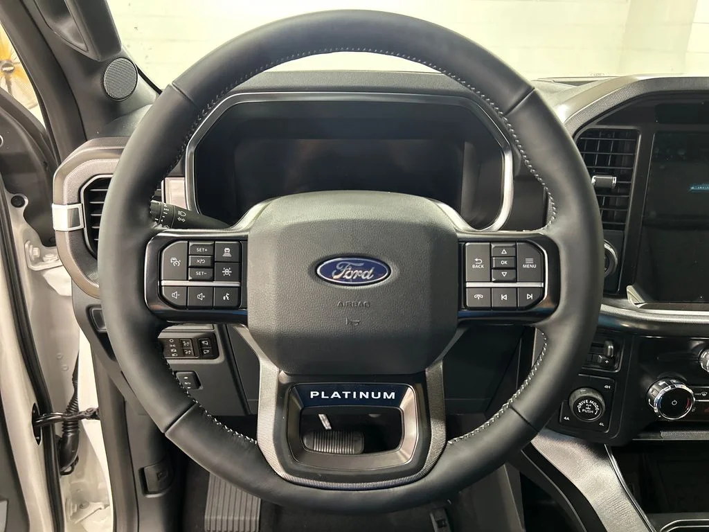 New 2026 White Ford Platinum image 19